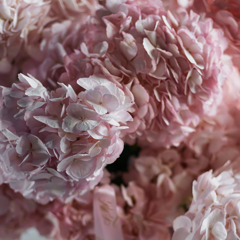 Blush Pink Hydrangea Luxury Flower Arrangement