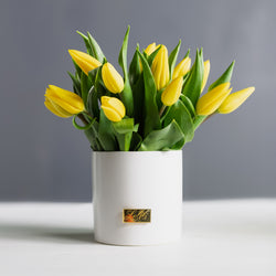 Tala Yellow