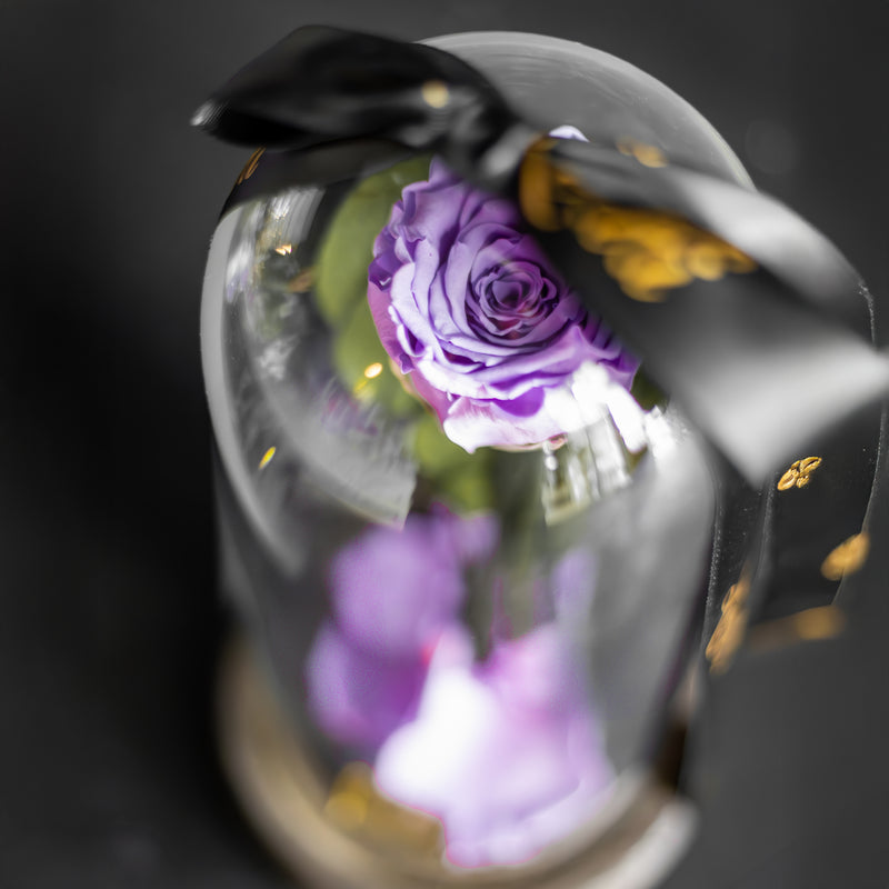 Rêverie Mauve