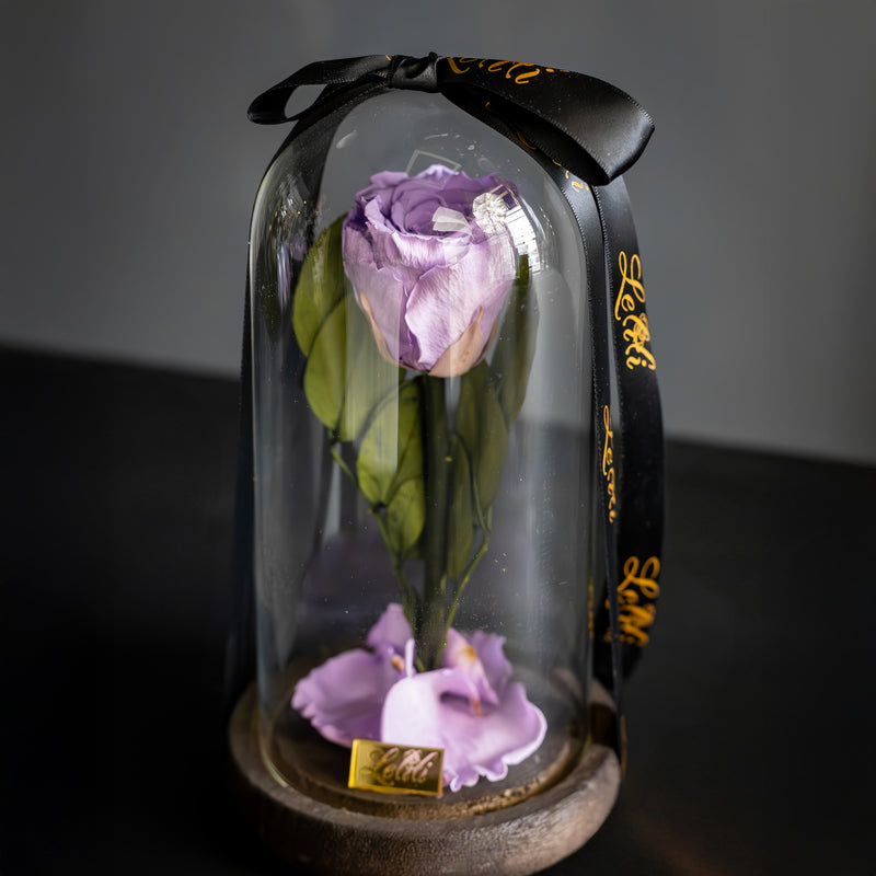 Rêverie Mauve