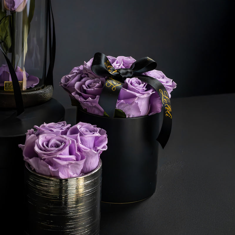 Rêverie Mauve