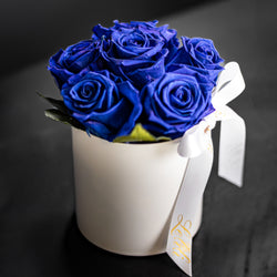 Bleu de Minuit
