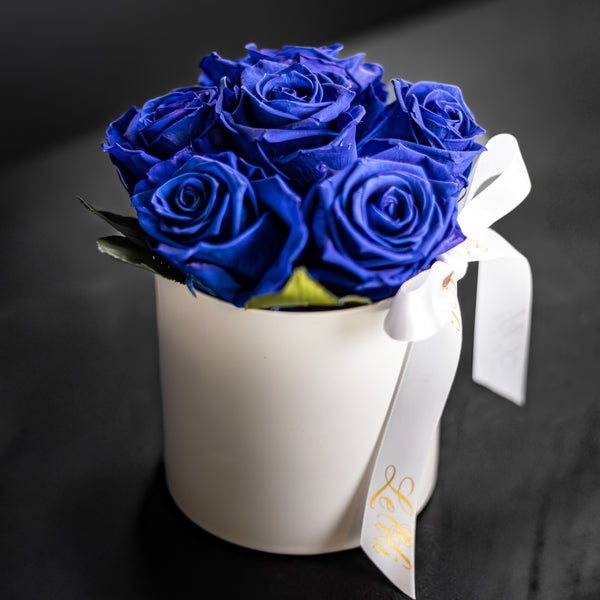 Bleu de Minuit