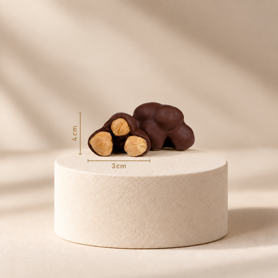 Chocolate Roche Hazelnut
