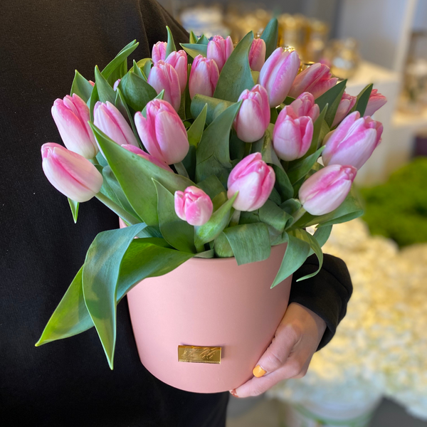 Tala - Pink Edition