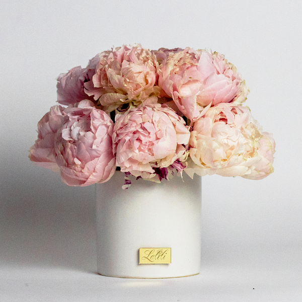 Penny bundle of Blush peonies