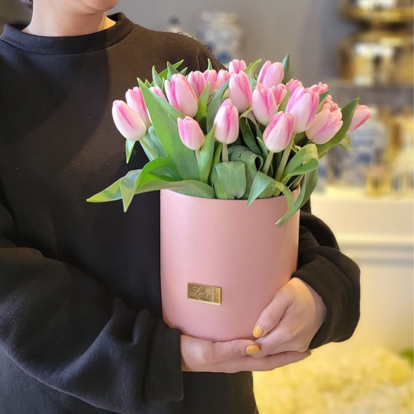 Tala - Pink Edition