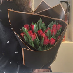 Red Tulips