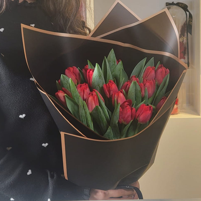 Red Tulips