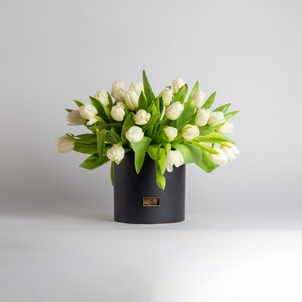 Tala White flower from Lelili Fleurs Laval