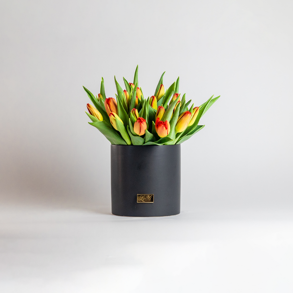 Tala Orange