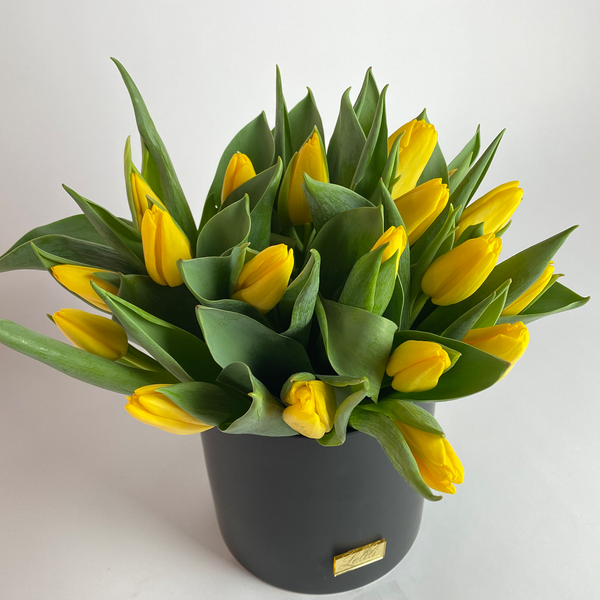 Tala Yellow flower from Lelili Fleurs Laval