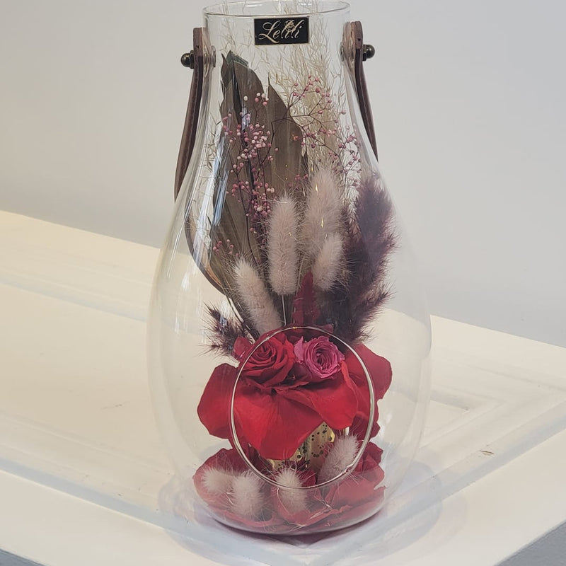 Red Terrarium Beauty